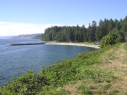 Willingdon Beach, just a few minutes from Seaside Villa, is a favoured hang-out spot